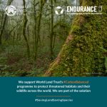 Endurance Doors Offers Corporate Support To The World Land Trust