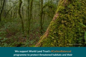 Endurance Doors Offers Corporate Support To The World Land Trust