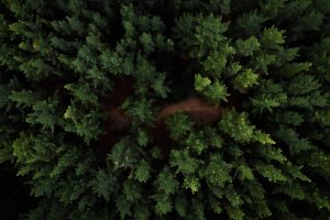 What Carbon Neutral Means To Us Here At Endurance Doors